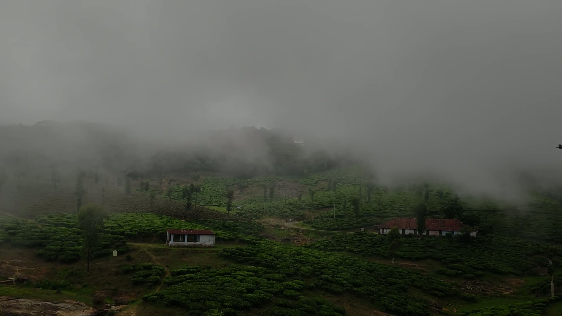 Cloud settling over the high Darjeeling ridges at dusk
