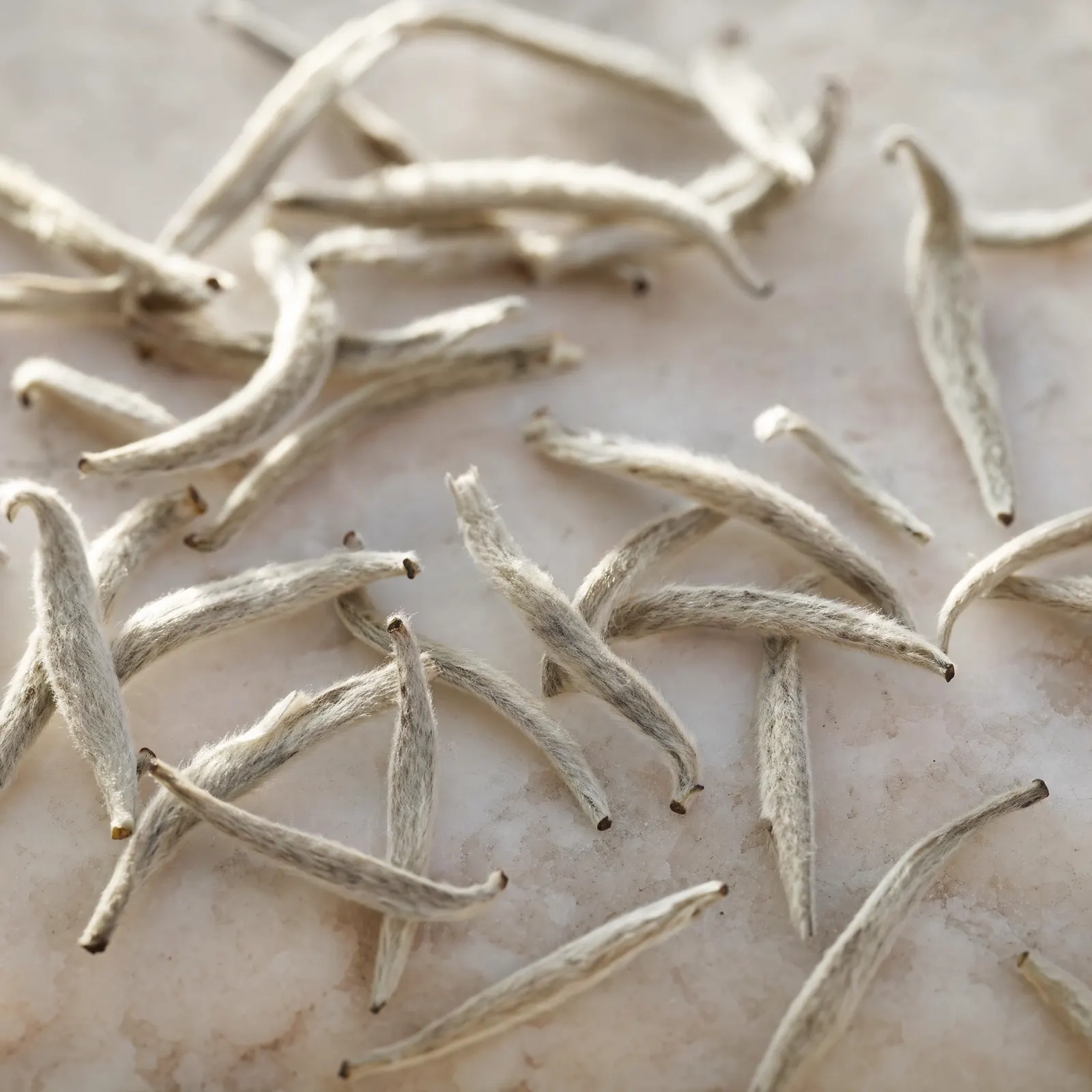 Loose White Wonder leaf