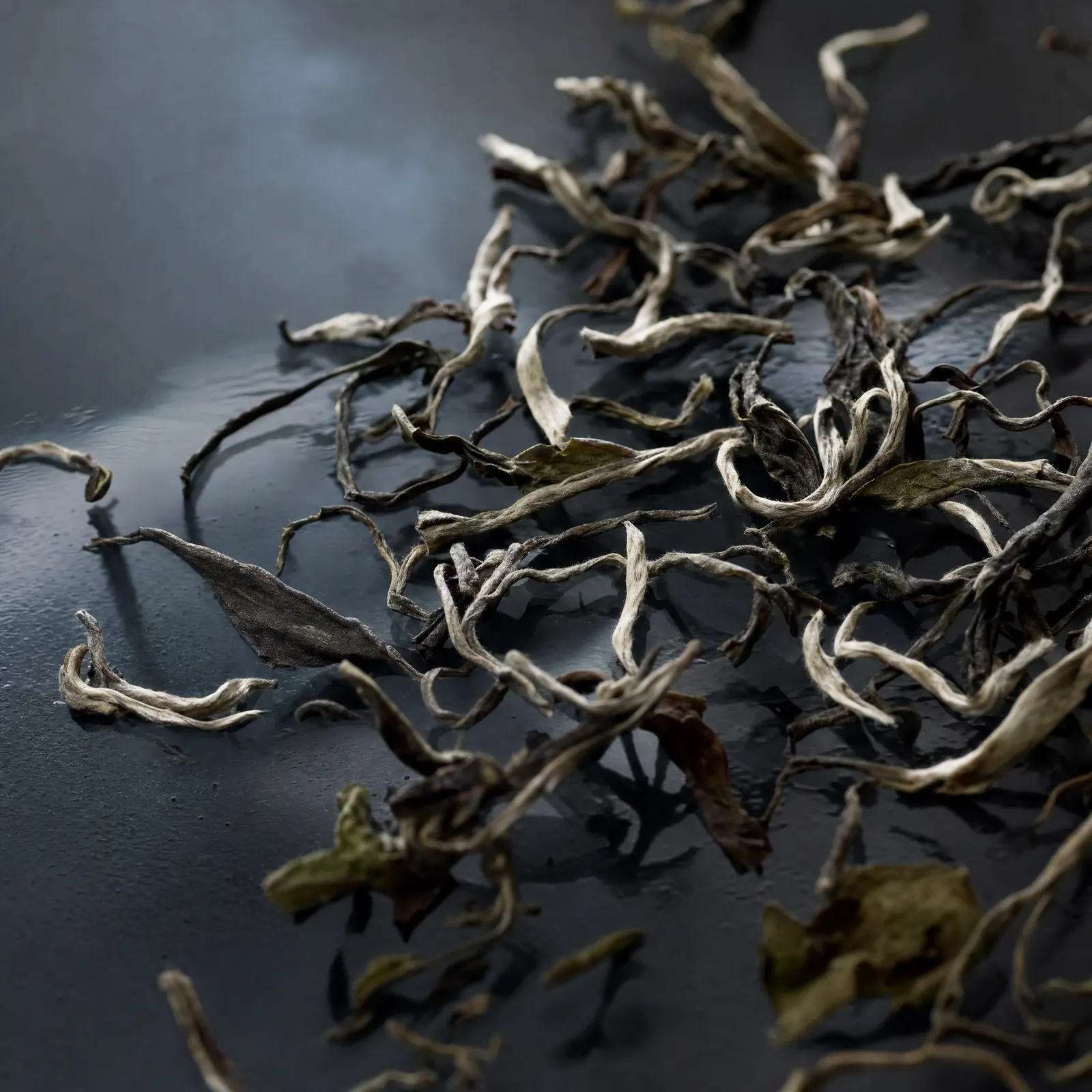 Loose Moonlight Summer White leaf