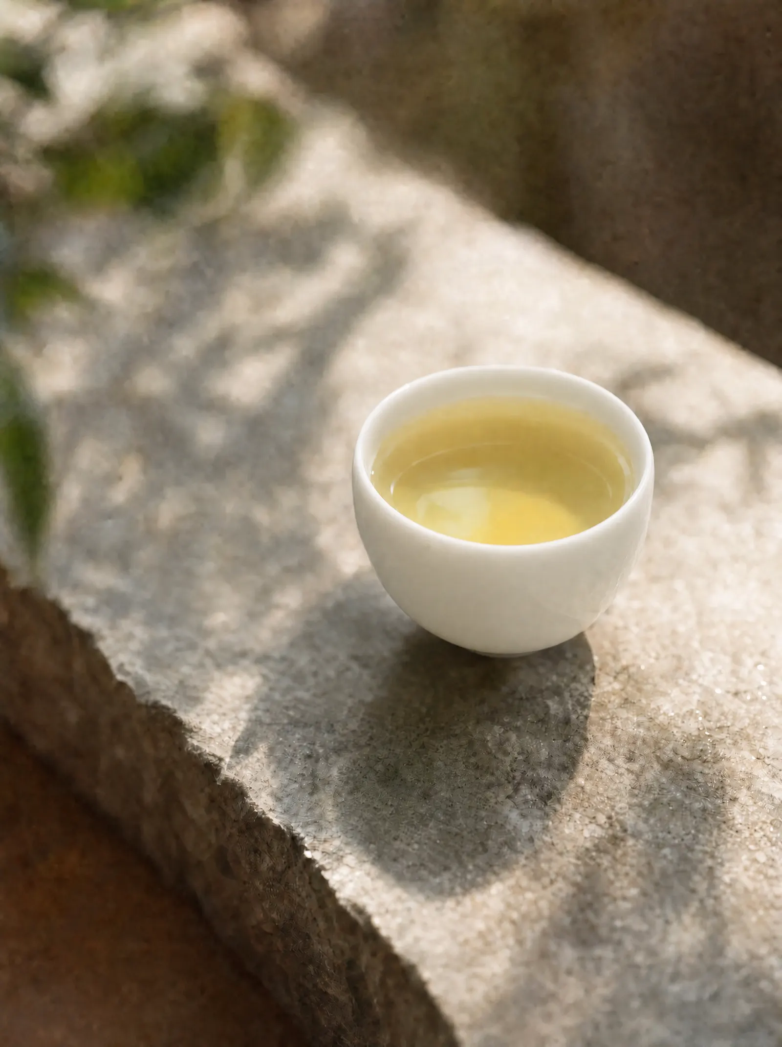 Darjeeling Green — the cup
