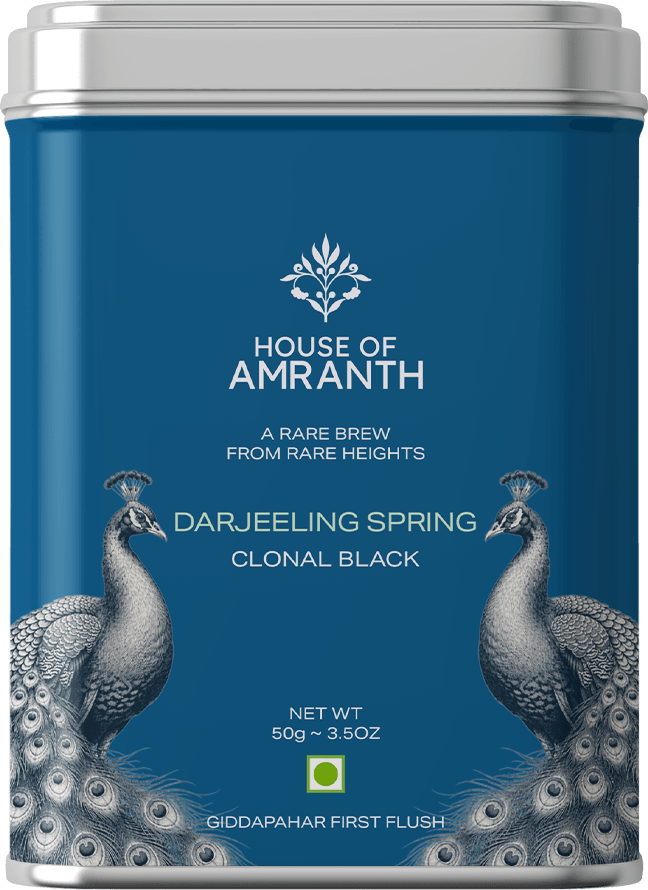 Spring Clonal Black loose-leaf tea in a House of Amranth metal caddy